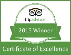 CertificateOfExcellence2015