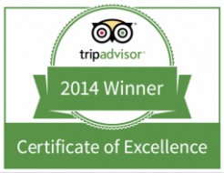 tripadvisor_badge